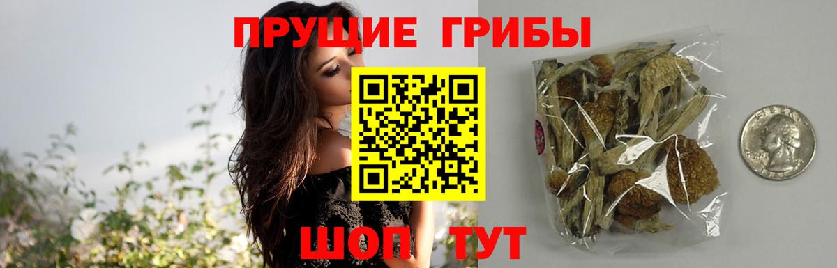 Сатка  Псилоцибиновые грибы Magic Shrooms  цена   Вход с VPN 